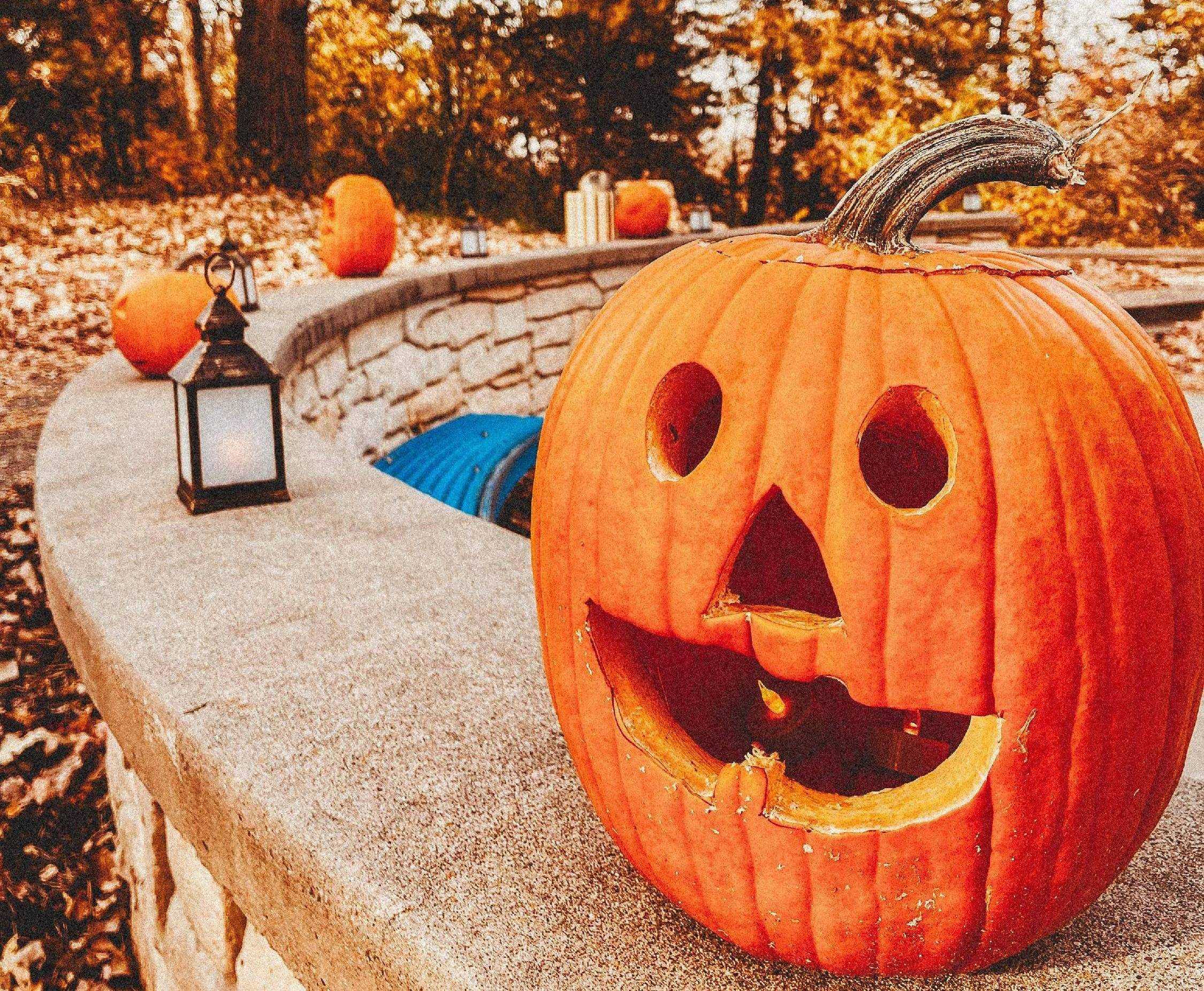pumpkin trail picture - Copy - Copy - Copy - Copy - Copy